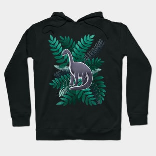 Dinosaur & Leaves - Teal Hoodie